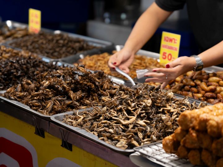 タイ　昆虫　屋台